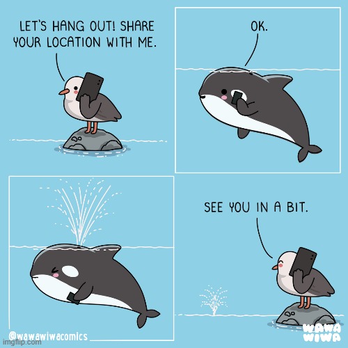 image tagged in seagull,phone,phone call,whale,water,spray | made w/ Imgflip meme maker