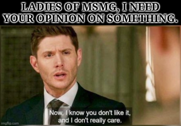 Since I Have No Females In My Life, RN | LADIES OF MSMG, I NEED YOUR OPINION ON SOMETHING. | image tagged in dean does not care,ladies of msmg,boardroom meeting suggestion,help me here,i am completely and utterly lost | made w/ Imgflip meme maker