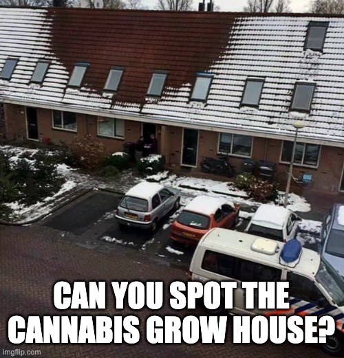 Can you spot the Cannabis Grow House? | CAN YOU SPOT THE CANNABIS GROW HOUSE? | image tagged in cannabis,weed,ganja,marijuana,drugs,crime | made w/ Imgflip meme maker
