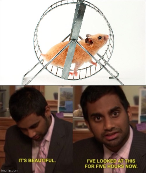 image tagged in hamster on wheel,i've looked at this for 5 hours now | made w/ Imgflip meme maker