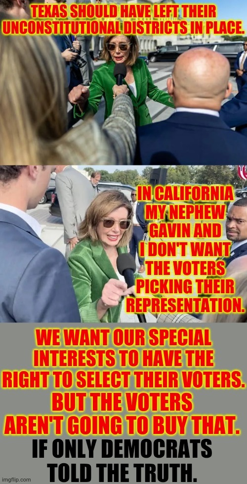 If Only Democrats Told The Truth | image tagged in memes,politics,nancy pelosi,gavin,sad truth,voters | made w/ Imgflip meme maker