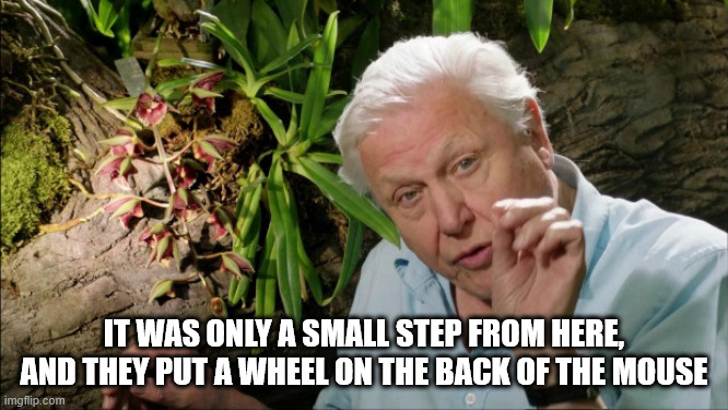David Attenborough | IT WAS ONLY A SMALL STEP FROM HERE,
AND THEY PUT A WHEEL ON THE BACK OF THE MOUSE | image tagged in david attenborough | made w/ Imgflip meme maker