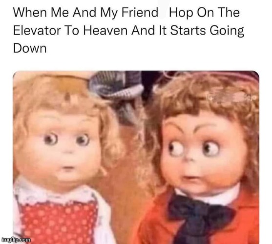 Heaven or ?? | image tagged in funny memes | made w/ Imgflip meme maker
