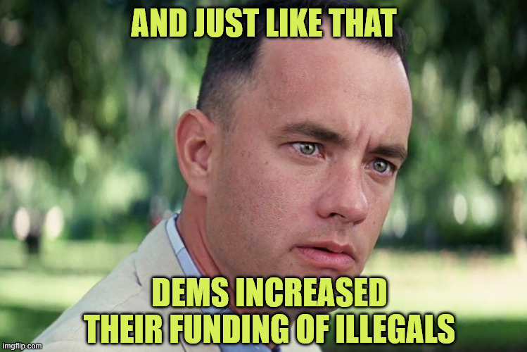 And Just Like That Meme | AND JUST LIKE THAT DEMS INCREASED THEIR FUNDING OF ILLEGALS | image tagged in memes,and just like that | made w/ Imgflip meme maker