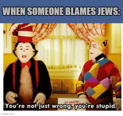 You're not just wrong your stupid | WHEN SOMEONE BLAMES JEWS: | image tagged in you're not just wrong your stupid,antisemitism,jew,anti-semitism | made w/ Imgflip meme maker