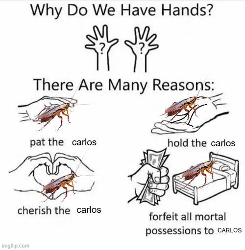 bob really loves carlos and you should too! | carlos; carlos; carlos; CARLOS | image tagged in why do we have hands all blank | made w/ Imgflip meme maker