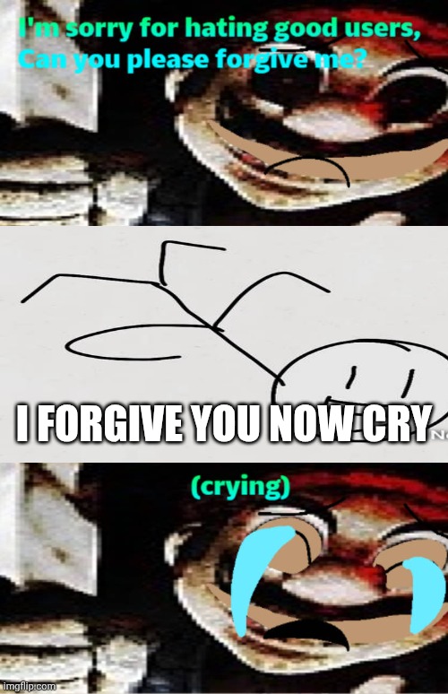 Me Ruining A Fill In Meme #334 | I FORGIVE YOU NOW CRY | image tagged in ruin this fill in meme 334 | made w/ Imgflip meme maker