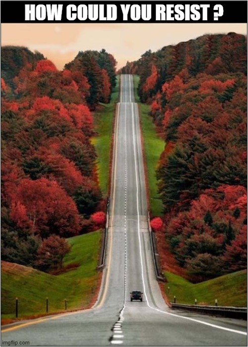 Weeeeeeeeeeeeeeeee ! | HOW COULD YOU RESIST ? | image tagged in straight,road,weee | made w/ Imgflip meme maker