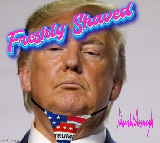 Freshly Shaved Donald Trump | image tagged in trump,vagina,porn,thong | made w/ Imgflip meme maker