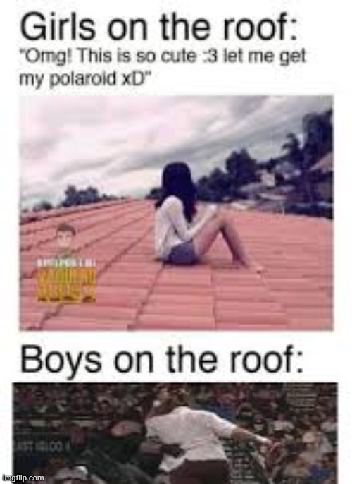 image tagged in roof | made w/ Imgflip meme maker