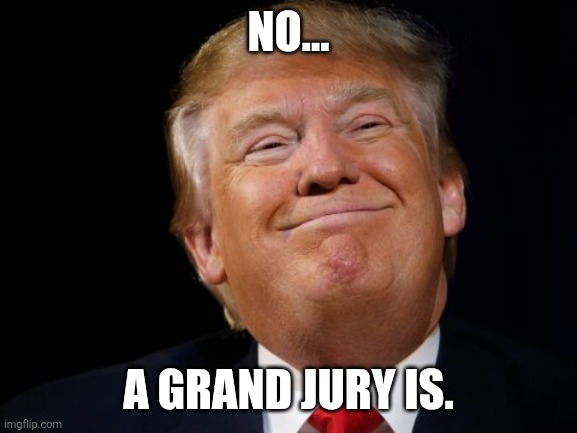 Smug Trump | NO... A GRAND JURY IS. | image tagged in smug trump | made w/ Imgflip meme maker