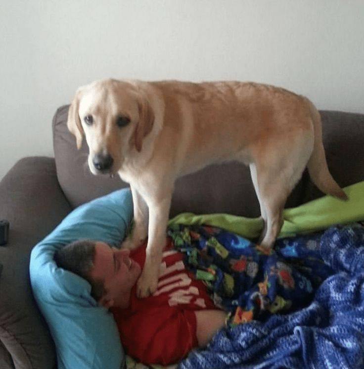 Chrisjoines1 Blank Meme Template