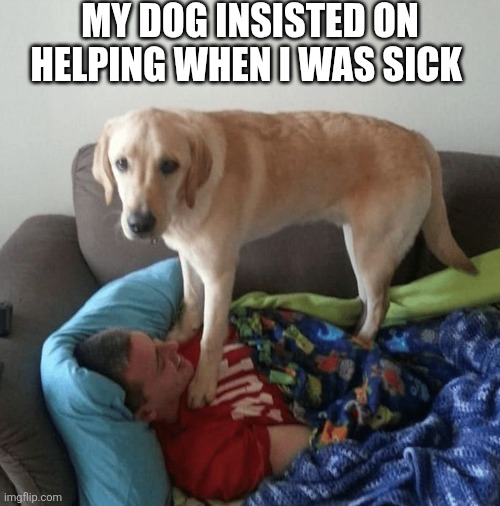 My Dog Insisted On Helping When I Was Sick | MY DOG INSISTED ON HELPING WHEN I WAS SICK | image tagged in chrisjoines1 | made w/ Imgflip meme maker