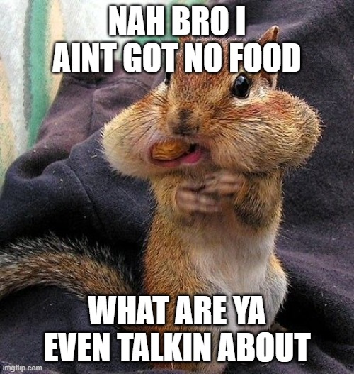 i aint sharing anything. my food is MY food | NAH BRO I AINT GOT NO FOOD; WHAT ARE YA EVEN TALKIN ABOUT | image tagged in squirrel full mouth | made w/ Imgflip meme maker