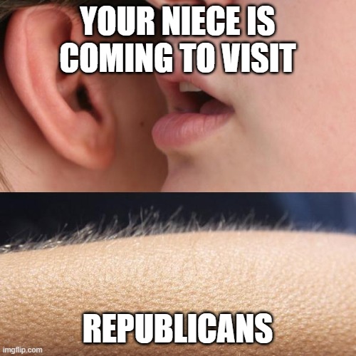 Whisper and Goosebumps | YOUR NIECE IS COMING TO VISIT; REPUBLICANS | image tagged in whisper and goosebumps | made w/ Imgflip meme maker