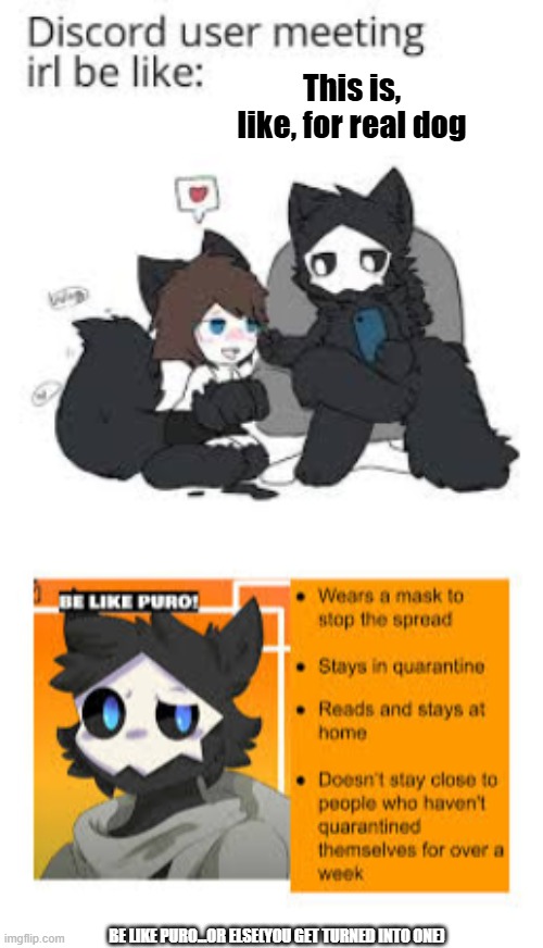 This is, like, for real dog; BE LIKE PURO...OR ELSE(YOU GET TURNED INTO ONE) | image tagged in discord meetings be like this is like fr dude,changed | made w/ Imgflip meme maker