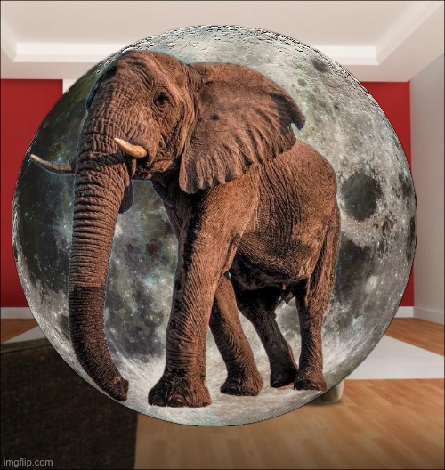 elephant in the room is the size of the moon Blank Meme Template