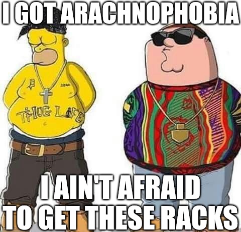 I GOT ARACHNOPHOBIA; I AIN'T AFRAID TO GET THESE RACKS | made w/ Imgflip meme maker