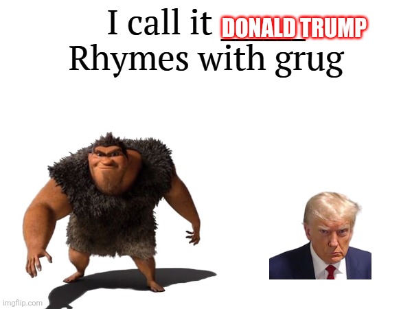 Grug | DONALD TRUMP | image tagged in i call it _____,donald trump | made w/ Imgflip meme maker