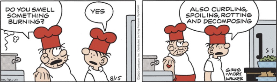 Beetle Bailey | image tagged in comics | made w/ Imgflip meme maker
