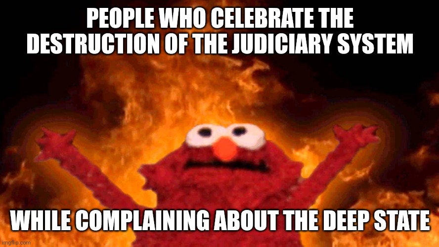 elmo fire | PEOPLE WHO CELEBRATE THE DESTRUCTION OF THE JUDICIARY SYSTEM WHILE COMPLAINING ABOUT THE DEEP STATE | image tagged in elmo fire | made w/ Imgflip meme maker