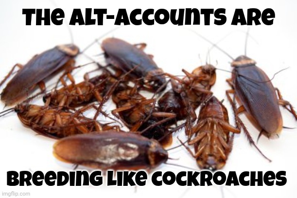 Middle East peace isn't a good idea ? | The alt-accounts are; breeding like cockroaches | image tagged in cockroaches,tds,alt accounts,x x everywhere,president trump,winning | made w/ Imgflip meme maker