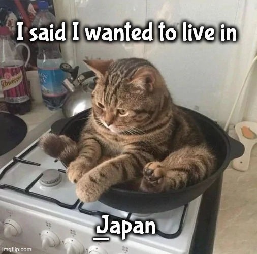 Just a misunderstanding | I said I wanted to live in; Japan; _ | image tagged in living abroad,why japan,cat,cooking,well yes but actually no,traveling | made w/ Imgflip meme maker