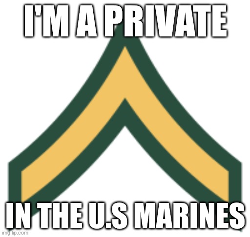 I'm a private in the u.s Marines | I'M A PRIVATE; IN THE U.S MARINES | image tagged in military | made w/ Imgflip meme maker