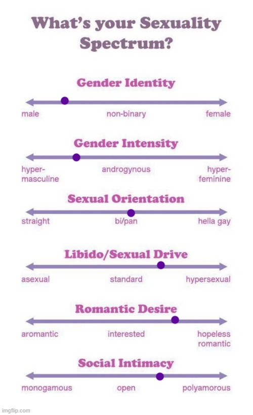 What's your sexuality spectrum? | image tagged in what's your sexuality spectrum | made w/ Imgflip meme maker