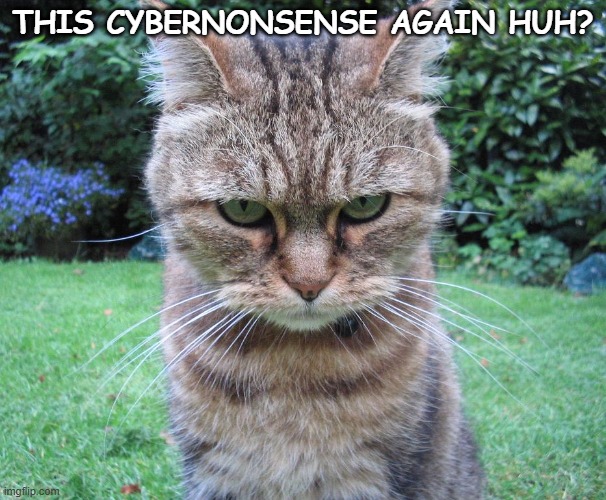This cyber nonsense again huh | THIS CYBERNONSENSE AGAIN HUH? | image tagged in glaring cat is not amused | made w/ Imgflip meme maker