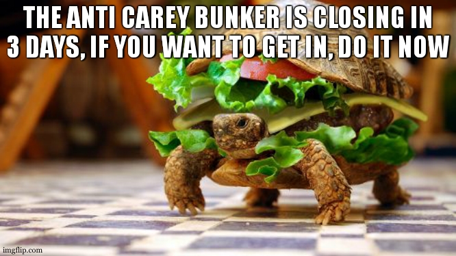 upvote so people can see it | THE ANTI CAREY BUNKER IS CLOSING IN 3 DAYS, IF YOU WANT TO GET IN, DO IT NOW | image tagged in tortoise sandwich | made w/ Imgflip meme maker