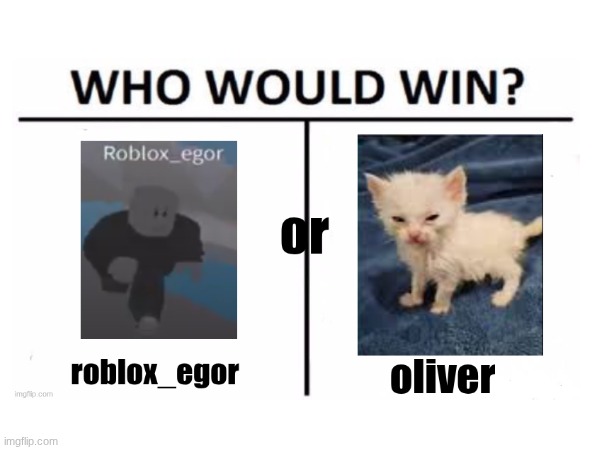 who would you think will win | image tagged in who would win | made w/ Imgflip meme maker