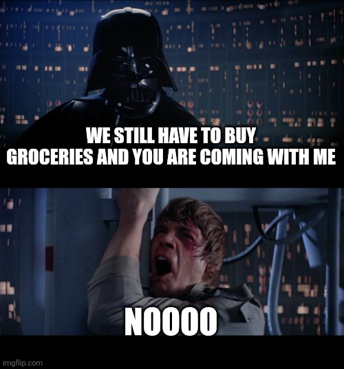 Mother and child somewhere right now. | WE STILL HAVE TO BUY GROCERIES AND YOU ARE COMING WITH ME; NOOOO | image tagged in memes,star wars no | made w/ Imgflip meme maker