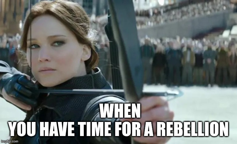 hunger games | WHEN YOU HAVE TIME FOR A REBELLION | image tagged in hunger games | made w/ Imgflip meme maker