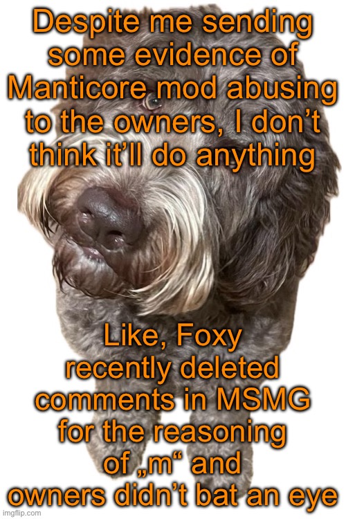 Norther's dog | Despite me sending some evidence of Manticore mod abusing to the owners, I don’t think it’ll do anything; Like, Foxy recently deleted comments in MSMG for the reasoning of „m“ and owners didn’t bat an eye | image tagged in norther's dog | made w/ Imgflip meme maker