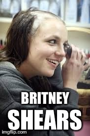 Britney Shears | BRITNEY SHEARS | image tagged in celebrity | made w/ Imgflip meme maker
