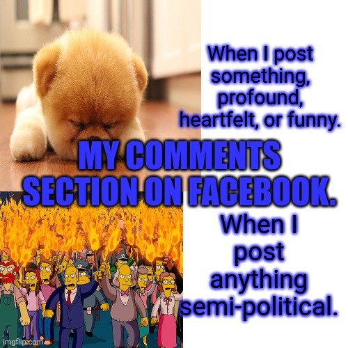 No one cares | When I post something, profound, heartfelt, or funny. MY COMMENTS SECTION ON FACEBOOK. When I post anything semi-political. | image tagged in memes,drake hotline bling | made w/ Imgflip meme maker