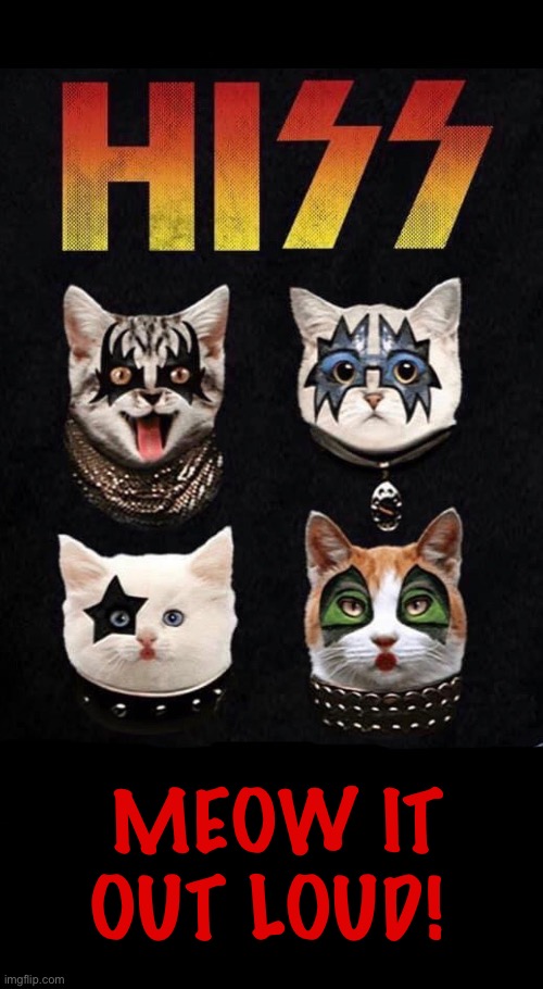 These cats are cool… | MEOW IT OUT LOUD! | image tagged in cats,kiss,hiss,meow it out loud,tribute | made w/ Imgflip meme maker