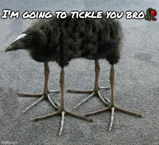 Withering flower emoji | I'm going to tickle you bro🥀 | made w/ Imgflip meme maker