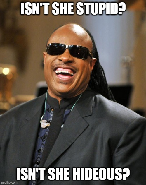 Isn't She Lovely at least? | ISN'T SHE STUPID? ISN'T SHE HIDEOUS? | image tagged in stevie wonder | made w/ Imgflip meme maker