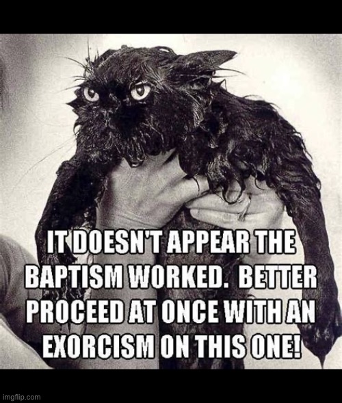 This will take a while… | image tagged in cats,baptism,didnt work,exorcism,watch out | made w/ Imgflip meme maker