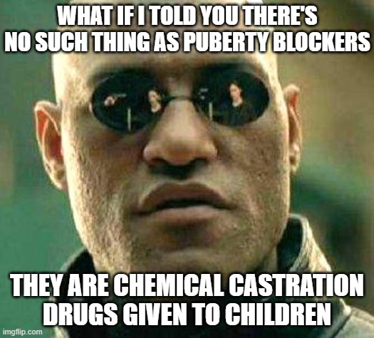 What if i told you | WHAT IF I TOLD YOU THERE'S NO SUCH THING AS PUBERTY BLOCKERS; THEY ARE CHEMICAL CASTRATION DRUGS GIVEN TO CHILDREN | image tagged in what if i told you | made w/ Imgflip meme maker