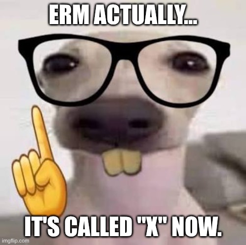 nerdy dog ☝️? | ERM ACTUALLY... IT'S CALLED "X" NOW. | image tagged in nerdy dog | made w/ Imgflip meme maker