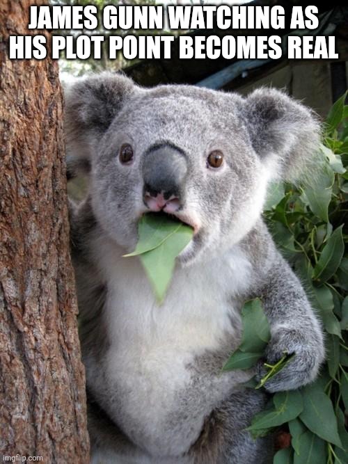 Surprised Koala Meme | JAMES GUNN WATCHING AS HIS PLOT POINT BECOMES REAL | image tagged in memes,surprised koala | made w/ Imgflip meme maker