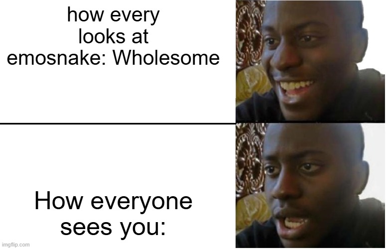 Disappointed Black Guy | how every looks at emosnake: Wholesome How everyone sees you: | image tagged in disappointed black guy | made w/ Imgflip meme maker