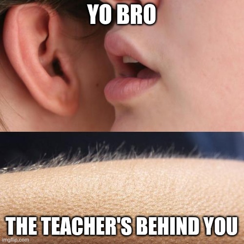 Whisper and Goosebumps | YO BRO THE TEACHER'S BEHIND YOU | image tagged in whisper and goosebumps | made w/ Imgflip meme maker