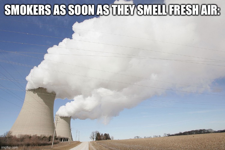 Sorry but it sure seems like it. | SMOKERS AS SOON AS THEY SMELL FRESH AIR: | image tagged in nuclear power plant,smoke | made w/ Imgflip meme maker