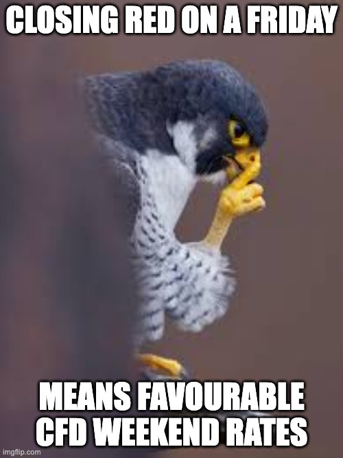 Silver Linings On Red Day | CLOSING RED ON A FRIDAY; MEANS FAVOURABLE CFD WEEKEND RATES | image tagged in pensive peregrine | made w/ Imgflip meme maker