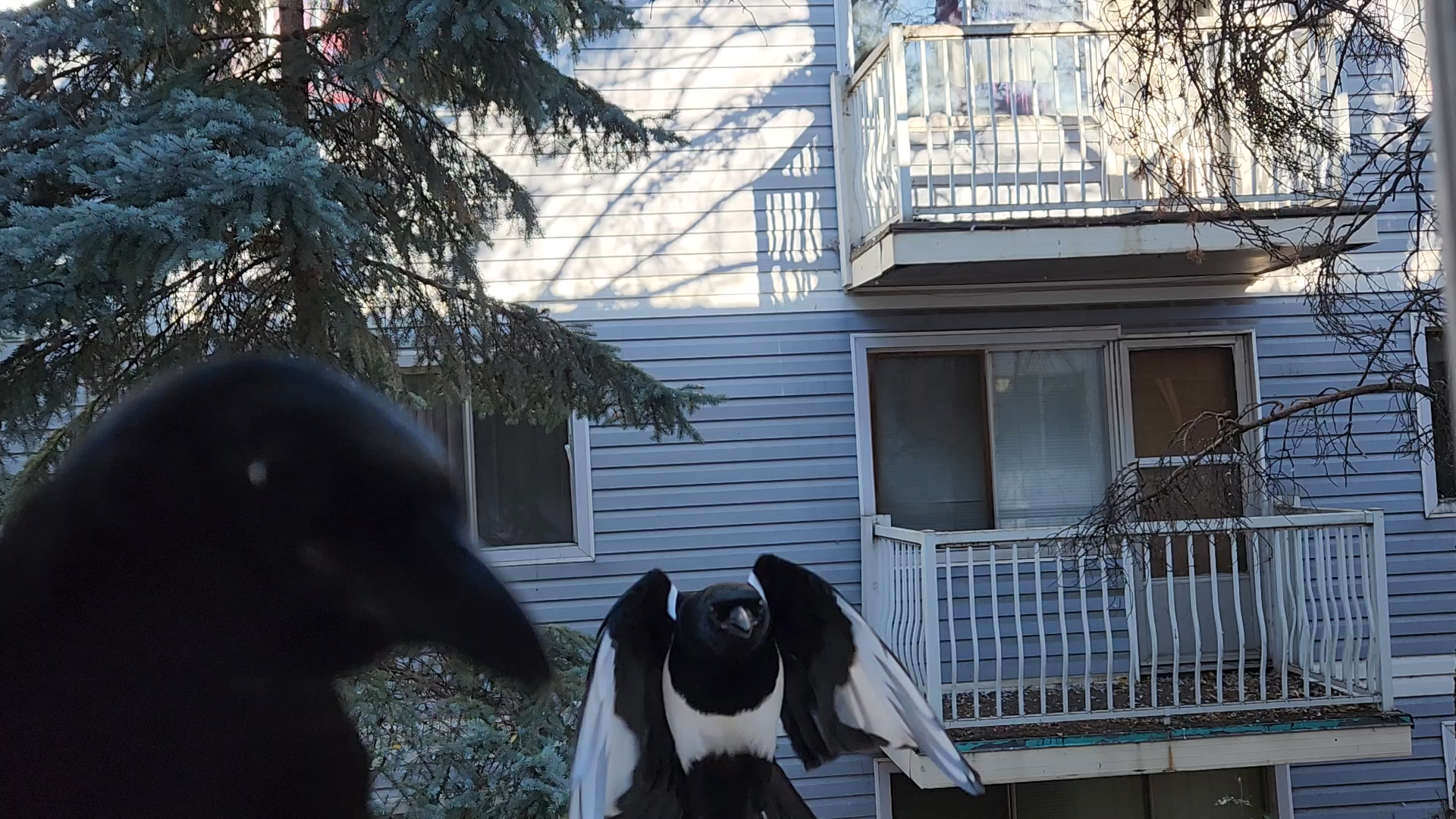 The Plot Blank Meme Template