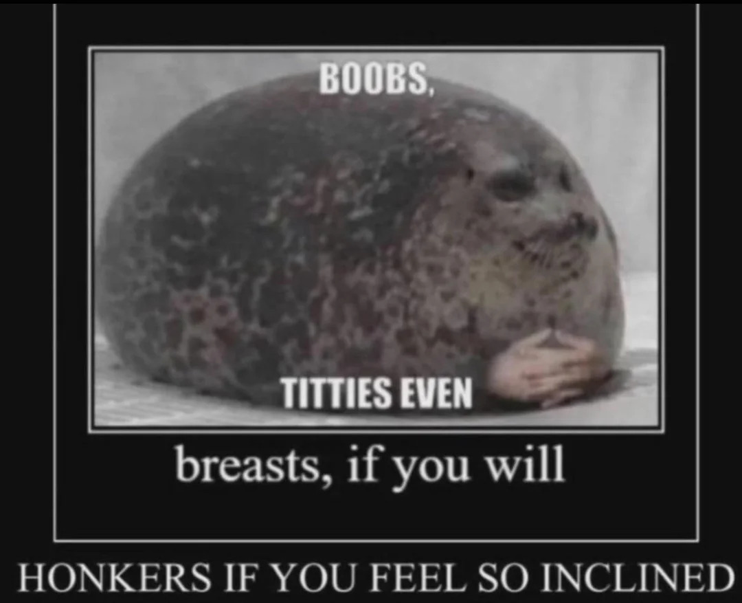 boobs demotivational Blank Meme Template